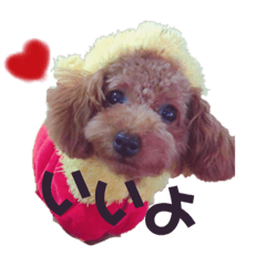 [LINEスタンプ] ティノのにちじょう