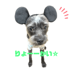 [LINEスタンプ] レオぴ。