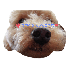 [LINEスタンプ] 昊空の日常会話Part1