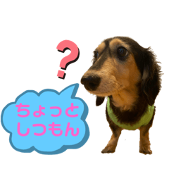 [LINEスタンプ] まるこ13