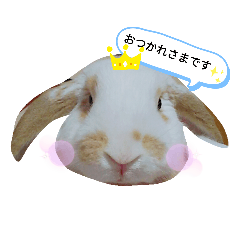[LINEスタンプ] 私のうさぎ。シャルル第3弾