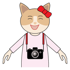 [LINEスタンプ] 動くカメラ猫の画像（メイン）