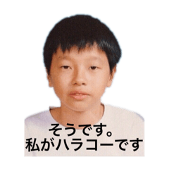 [LINEスタンプ] みんなのハラコー