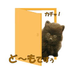 [LINEスタンプ] 黒ポメ《恋音》のつぶやき