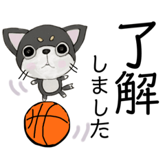 柳岡家の愛犬コロ助