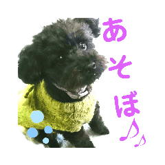 [LINEスタンプ] 素敵なわんこ