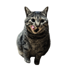[LINEスタンプ] すどスタ 拡張パック