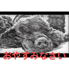 [LINEスタンプ] 黒コッカー  チョコ＆おともだち2