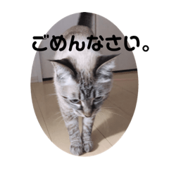 [LINEスタンプ] もちゃ 9