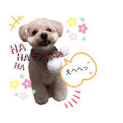 [LINEスタンプ] ヒットの日常会話