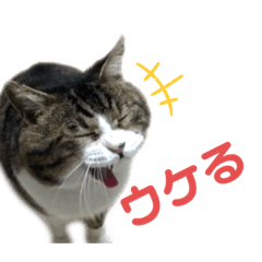 [LINEスタンプ] くるぶし先輩