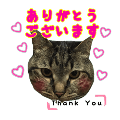 [LINEスタンプ] 我が家のまいりー3