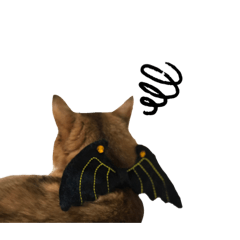 [LINEスタンプ] HELLOWEENにゃの⁉︎