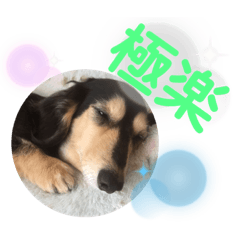 [LINEスタンプ] まるこ14