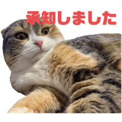 [LINEスタンプ] むぎさん2
