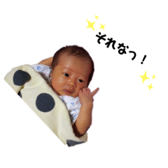 [LINEスタンプ] いろはくんスタンプ 1