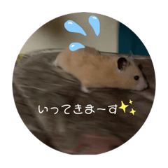 [LINEスタンプ] もちゃ丸familyの日常