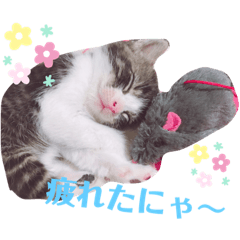 [LINEスタンプ] 子猫 双子