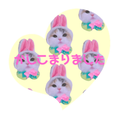 [LINEスタンプ] 被り物こむぎ
