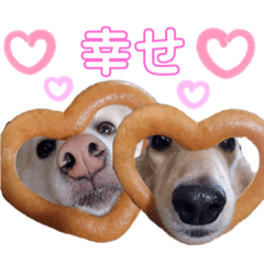 [LINEスタンプ] マロン＆プリン〜アクア＆アロマもいるよ〜