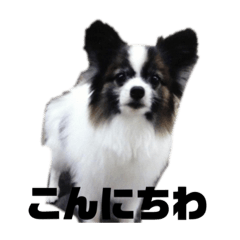 [LINEスタンプ] scarlet3の画像（メイン）