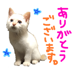 [LINEスタンプ] Rain＆Lan①