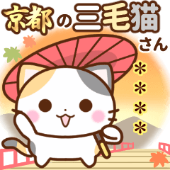 [LINEスタンプ] 京都の三毛猫さん【カスタムスタンプ】