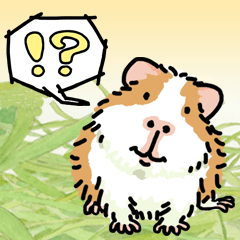 [LINEスタンプ] 驚愕！ モルモットの世界 2