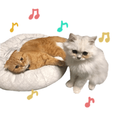 [LINEスタンプ] おサニとピース