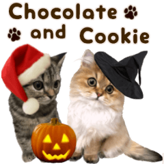 ショコラとクッキーの子猫写真スタンプ秋冬