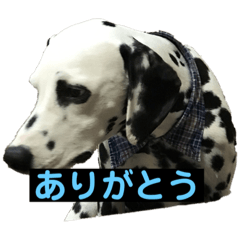 [LINEスタンプ] 日常の挨拶集