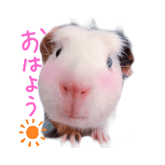 [LINEスタンプ] ぷにまるさんの日常！