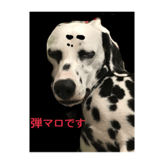 [LINEスタンプ] japandogkokodan