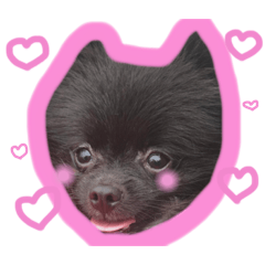 [LINEスタンプ] いっっっっぬ
