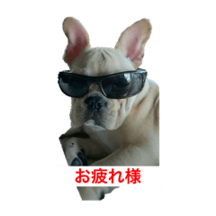 [LINEスタンプ] 小次郎とニコ♪