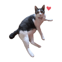 [LINEスタンプ] メイ♡''