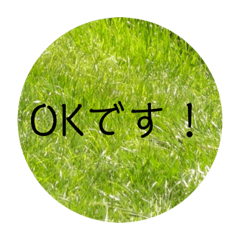 [LINEスタンプ] 写真の背景スタンプ