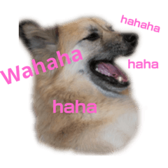 [LINEスタンプ] ムサシの⭐️む
