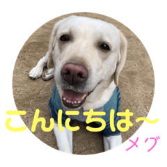 [LINEスタンプ] DLS