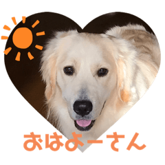 [LINEスタンプ] きなたんたん