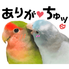 [LINEスタンプ] 小桜インコラッキー＆マメルリハそらパート5