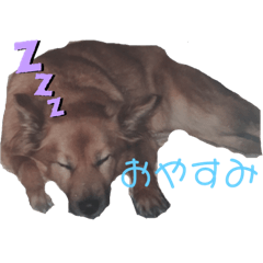 [LINEスタンプ] ペロリーヌ