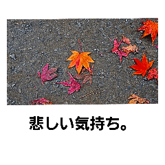 [LINEスタンプ] 秋の写真