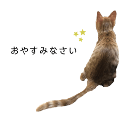 [LINEスタンプ] あたしんちのロク