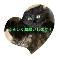 [LINEスタンプ] もみじスタンプ(希望)
