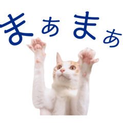 [LINEスタンプ] イチローすたんぷ 2