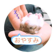 [LINEスタンプ] マカロニマウスのきなこ
