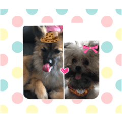 [LINEスタンプ] 又々まりんとレン