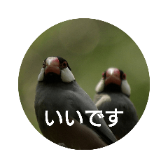 [LINEスタンプ] 日本語を使って挨拶する