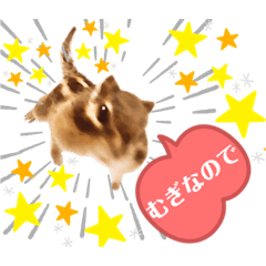 [LINEスタンプ] むぎぐらし いろいろむぎ